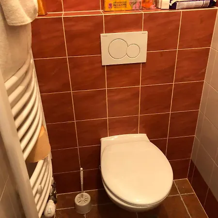 Apartman Lesni アパートホテル ヤンスケー・ラーズニェ