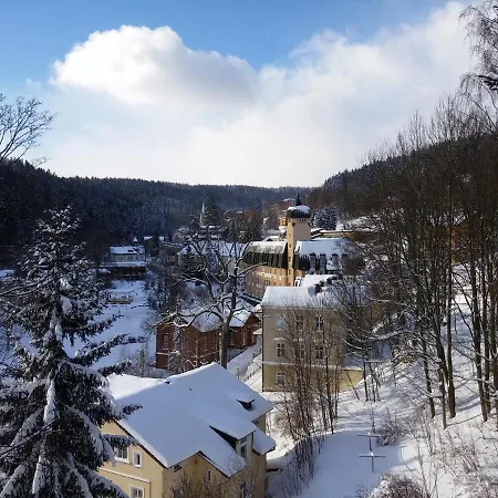 Apartman Lesni *