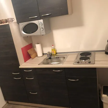 アパートホテル Apartman Lesni *